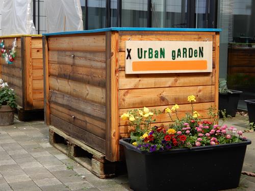 Urban Gardening